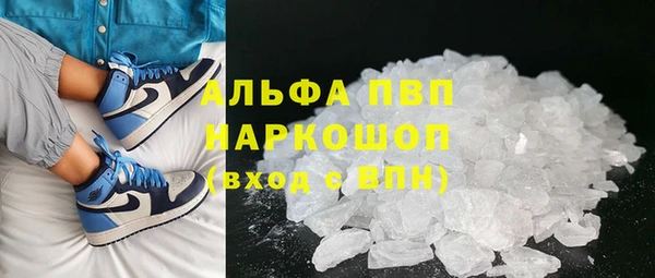 прущие грибы Пестово