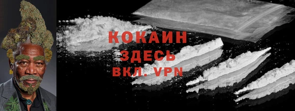 меф Пересвет