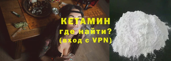 прущие грибы Пестово