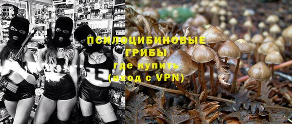прущие грибы Пестово