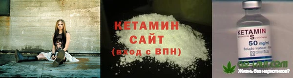 прущие грибы Пестово