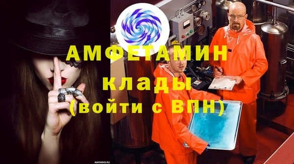 прущие грибы Пестово