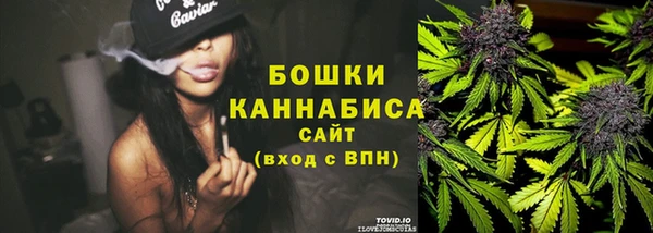 прущие грибы Пестово