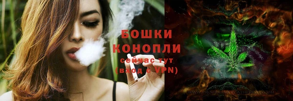 прущие грибы Пестово