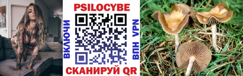 MEGA зеркало  Белоозёрский  Псилоцибиновые грибы Psilocybe 